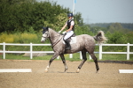 SBM_007954