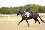 SBM_003667
