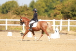 SBM_017564