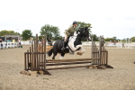 SBM_05654