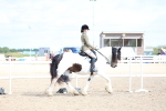 SBM_12034