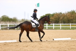 SBM_008505