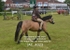 JAC_4023
