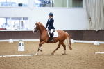 SBM_000604