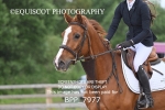 BPP_7977