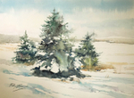 'Glenariff Snows'