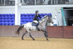 SBM_001679