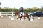 SBM_015970
