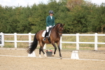 SBM_009639