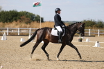 SBM_022584