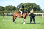 SBM_36766