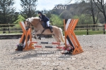 BPP_8139