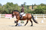 SBM_013962