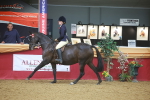SBM_10551