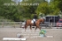 BPP_6071