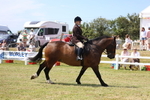 3E7A8887