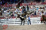 3HRodeo_CFD_JUL_18_2026_03900
