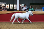 SBM_16571