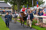 210826-Race 1-Blue Courvoisier-8647
