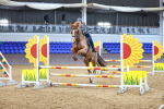 SBM_001371