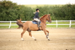 SBM_002085
