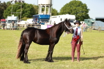 SBM_00922