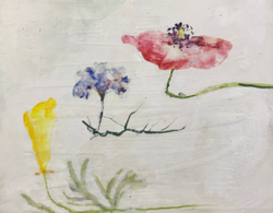 Drifting through summer