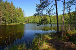 Nuuksio National Park, Uusimaa, Finland