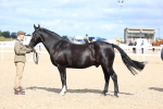 SBM_15409