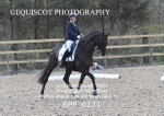 BPP_0121