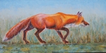 Fox on the Move