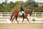 SBM_003358