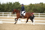SBM_002981