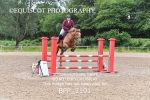 BPP_3101