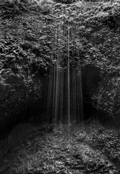 Pacific Northwest portfolio