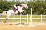 SBM_010393