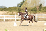 SBM_017385