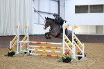 SBM_002937