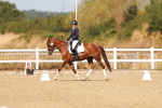 SBM_017627
