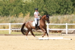 SBM_022610