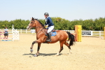 SBM_000946
