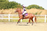 SBM_002257