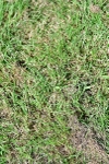 SBM_03353
