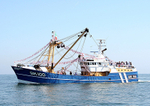 BRIXHAM TRAWLER RACE 2006 portfolio