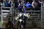 Brenson Bartlett_DSC1640