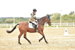 SBM_002498