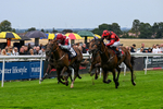 290826-Race 5-Supreme Clarets-7388
