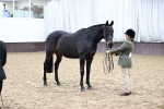 SBM_5807