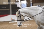 BPP_9008