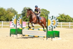 SBM_006334